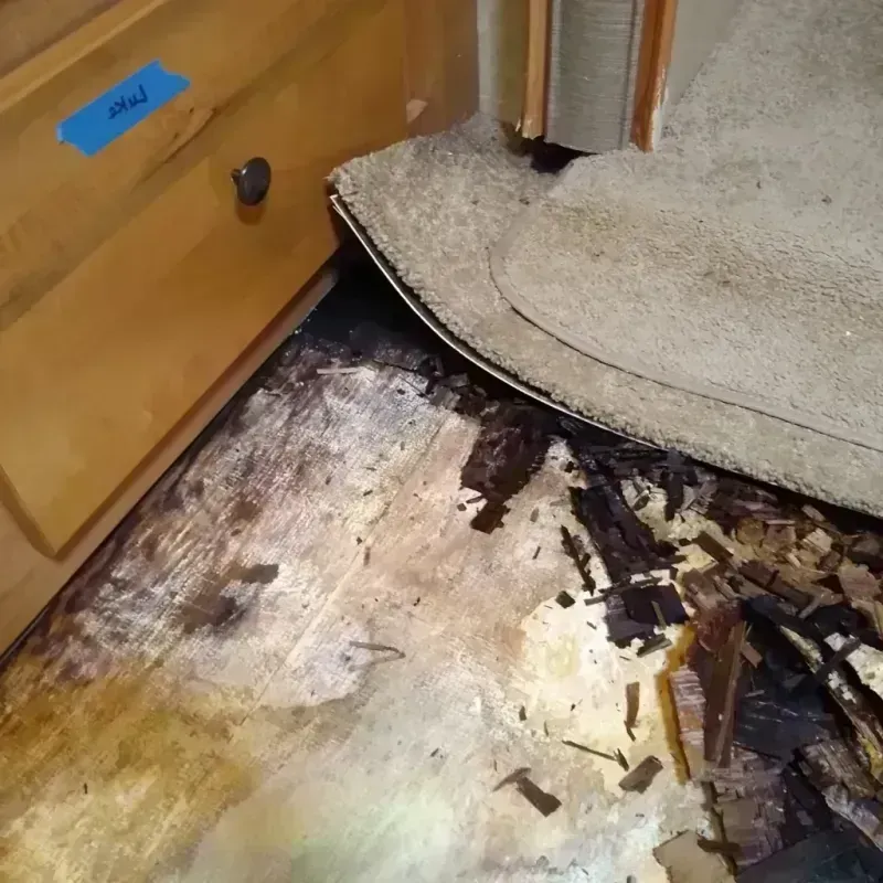 Wood Floor Water Damage in Saint Leo, FL